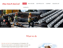 Tablet Screenshot of dinairon.com